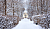 Winter Wonders with Four Seasons Concierge Team